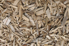 biomass boilers Spennithorne